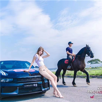 領(lǐng)克03駕控體驗(yàn)營(yíng)